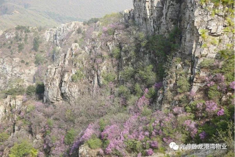 28圈(中国集团)官方网站