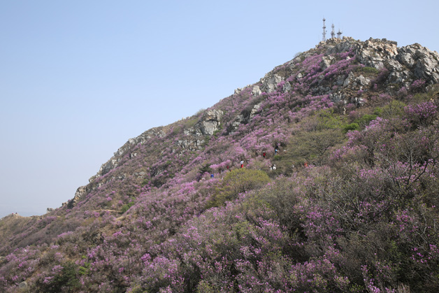 28圈(中国集团)官方网站