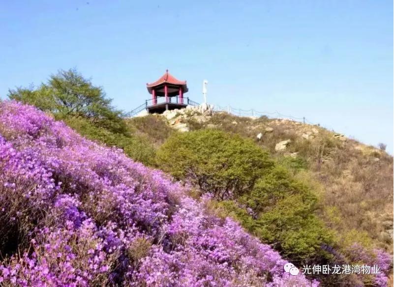 28圈(中国集团)官方网站