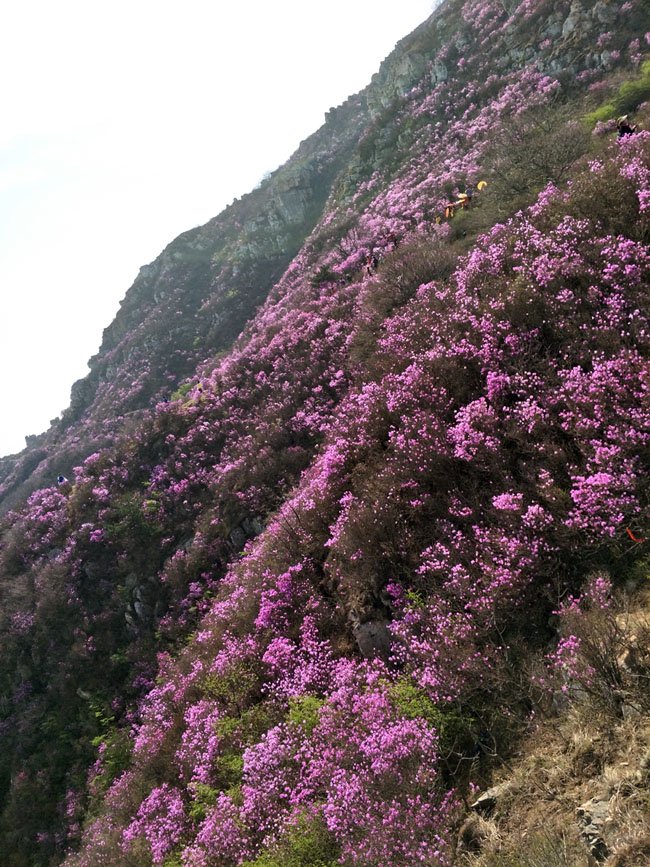 28圈(中国集团)官方网站