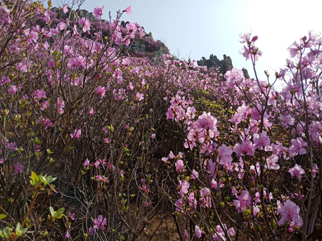 28圈(中国集团)官方网站