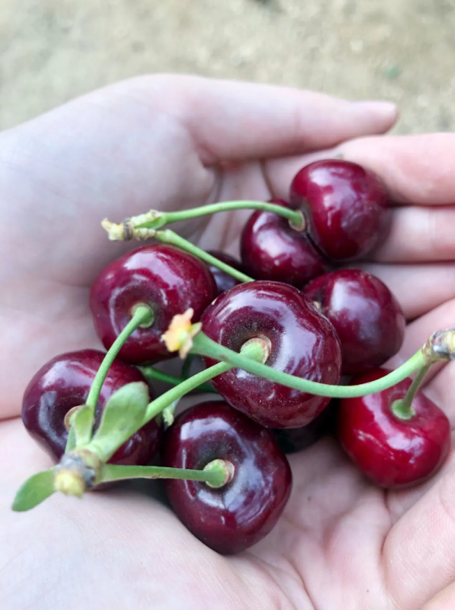 28圈(中国集团)官方网站