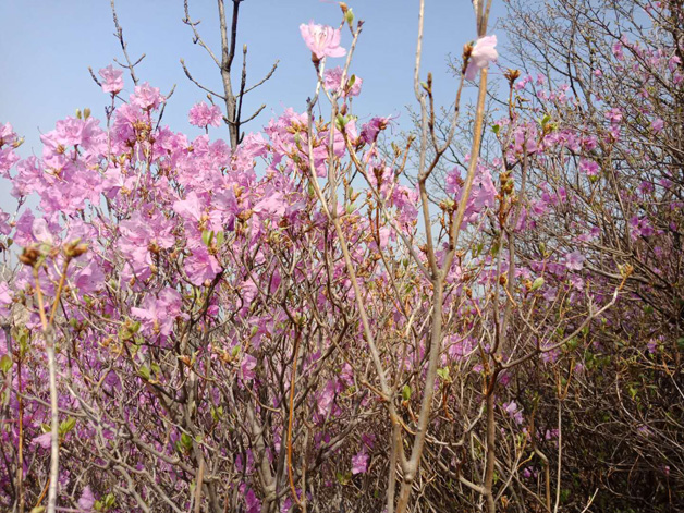 28圈(中国集团)官方网站